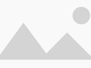 Signature Beef Blend Shawarma Meal